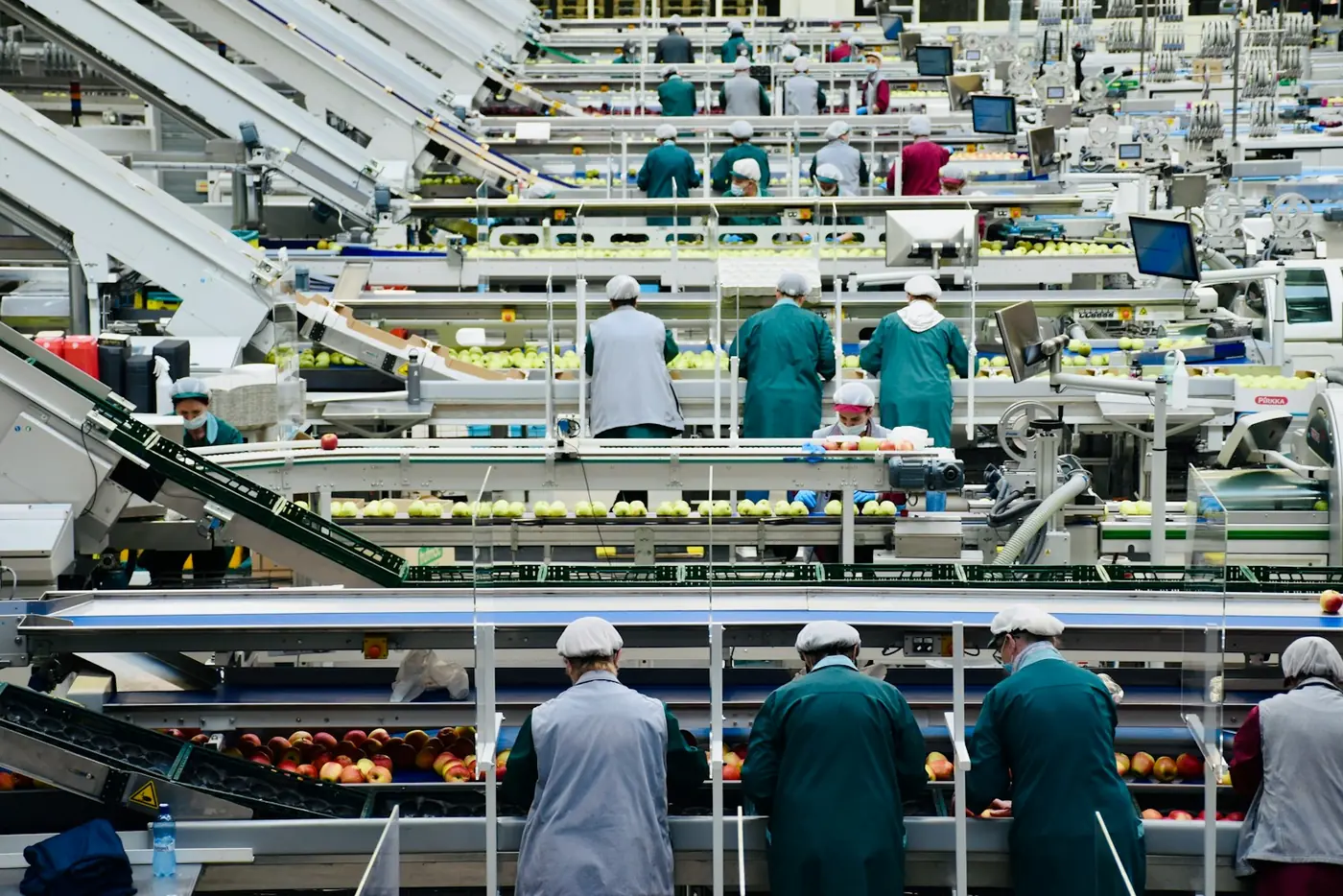 Operários em uma linha de produção de indústria de alimentos